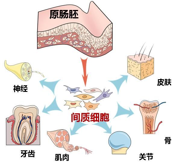 李中瀚-生命科学学院