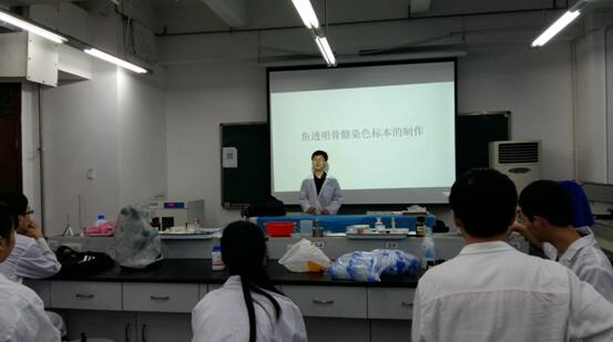 QQ截图20170524133508.jpg QQ截图20170524133508.jpg
